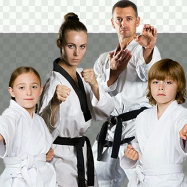parents and kids martial art classes
